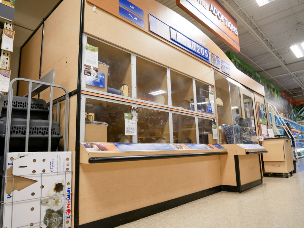 Cat Adoption Locations