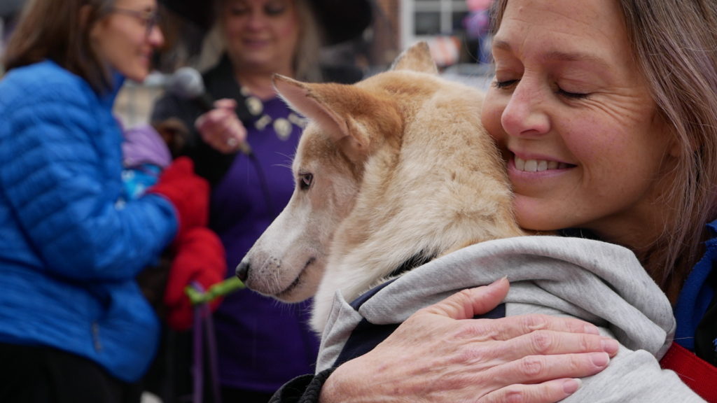 Winners of Glen Ellyn Pet Costume Parade! A.R.F.Animal Rescue Foundation