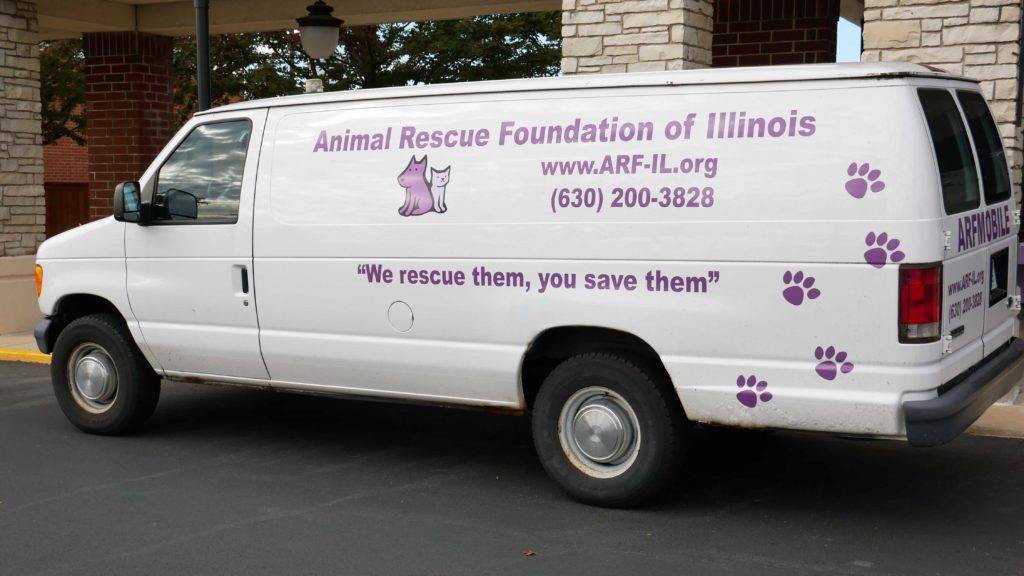 The A.R.F. animal rescue van (the ARFmobile)