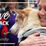Give Back - Giving Tuesday