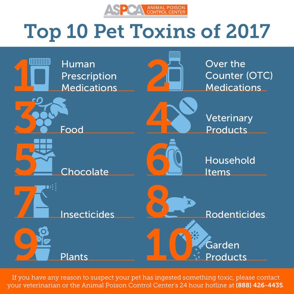 Top 10 Pet Toxins of 2017 by the ASPCA