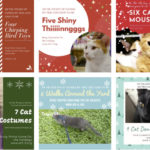 12 Days of Catmas - Adopt a Cat