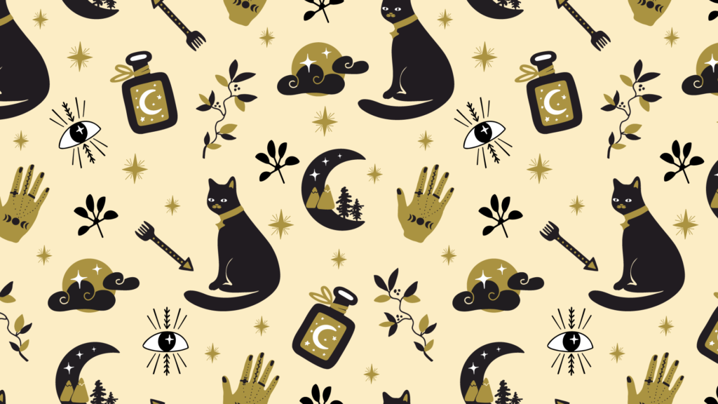 Why Do Black Cats Have a Bad Reputation? A.R.F.Animal Rescue Foundation