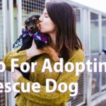 Prep for Adopting a Rescue Dog