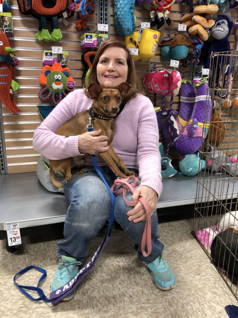 Dog Foster Volunteer in IL