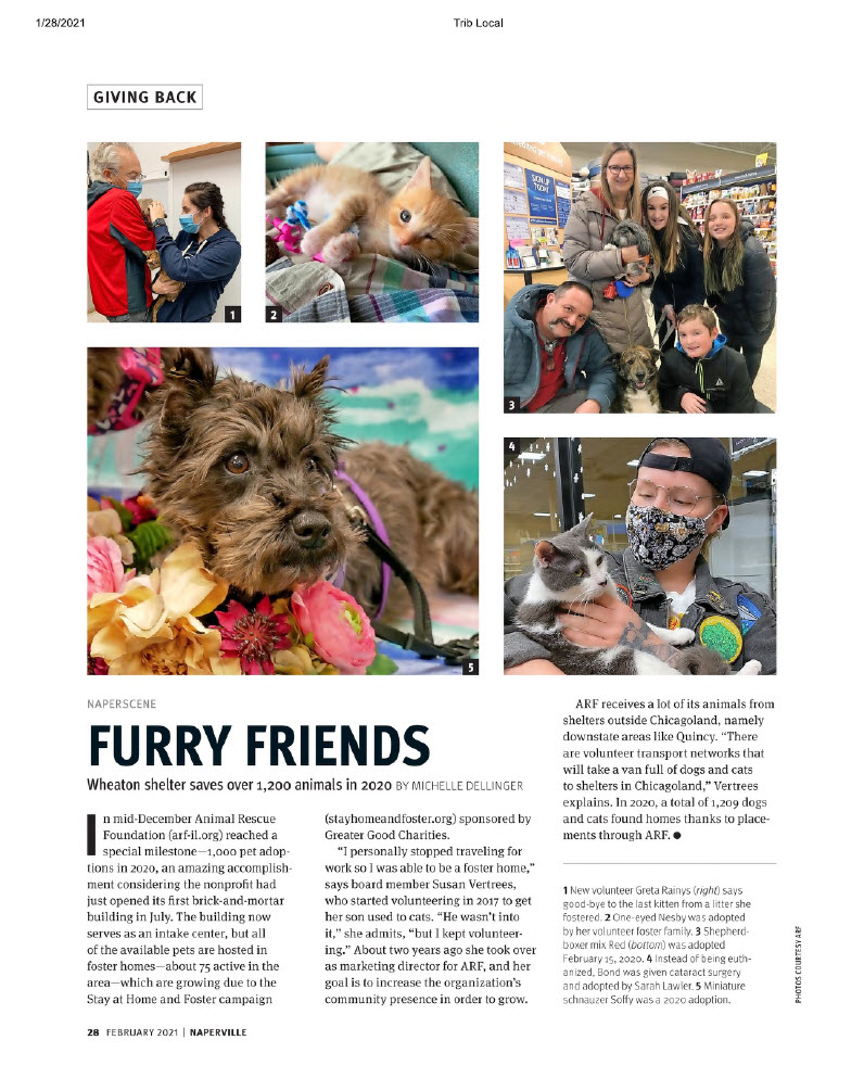 Furry Friends - A.R.F. in Naperville Magazine, February 2021