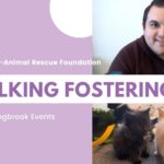 Animal Shelter Volunteering Webinar