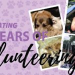 Celebrating 25 Years of Volunteering