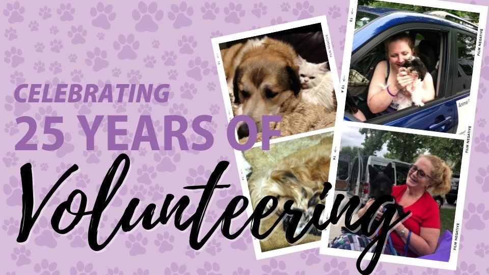 Celebrating 25 Years of Volunteering