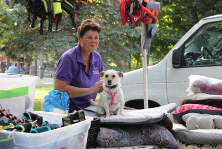 A.R.F.-Animal Rescue Foundation Home