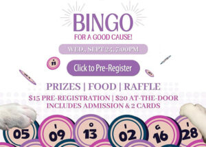 Bingo for a Good Cause! Wed., Sept 24, 7:00pm. Bubblehouse Brewing 2121 Ogden Ave Unit A, Lisle, IL 60532 - Click to Pre-Register