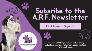 Subscribe to the A.R.F. Newsletter - Click Here to Sign Up. Receive uplifting news, heartwarming adoption stories, volunteer opportunities, and so much more!