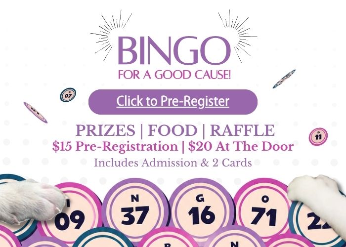 Bingo for a Good Cause
Click to Pre-Register. Prizes, Food, Raffle. $15 Pre-Registration. $20 at the door. Includes Admission & 2 cards.
